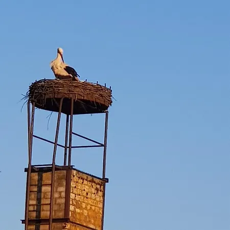 Ferienhaus Hankehübel