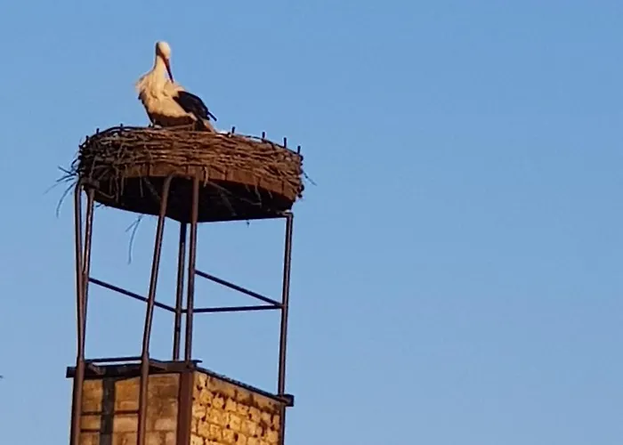 بيت للعطل Hankehuebel