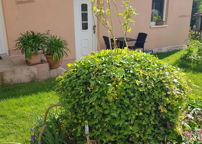 بيت للعطل Hankehuebel *