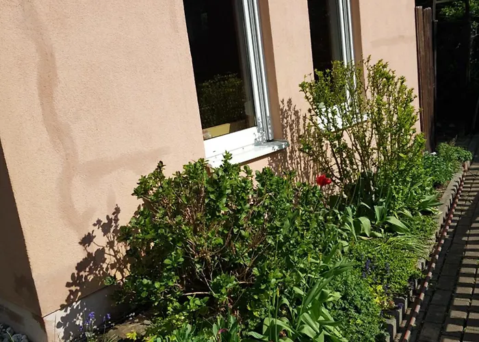 بيت للعطل Hankehuebel *